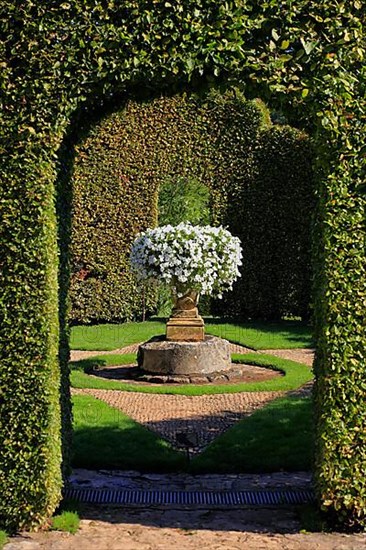 White petunias in a historic flower pot, Jardins du Manoir d'Eyrignac
