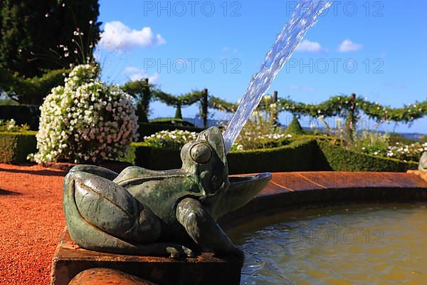 Frog as gargoyle, Jardins du Manoir d'Eyrignac