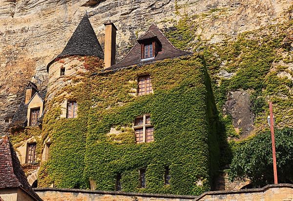 Facade greening, La Roque-Gageac