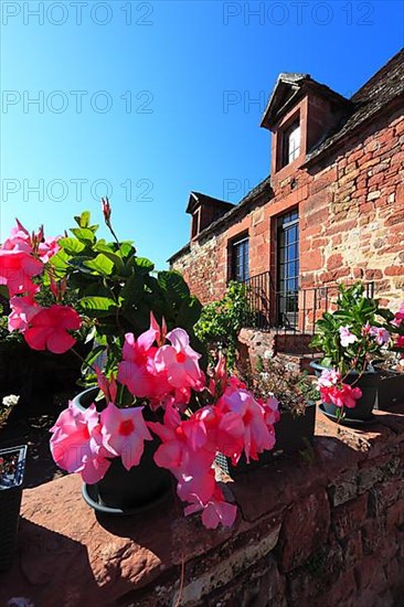 Collonges-la-Rouge, Colonjas