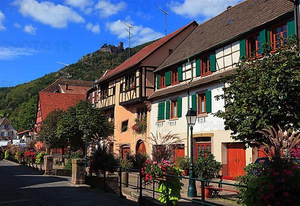 Ribeauville, Rappoltsweiler