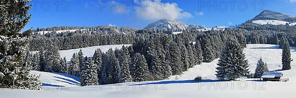 Wonderful winter landscape with blue sky and sunshine. Sonthofen, Oberallgaeu