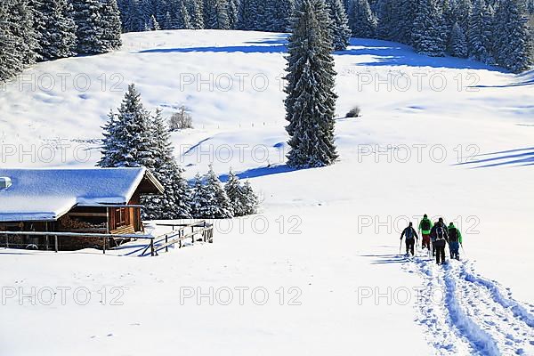Snowshoe hike on the Beilenberg in a wonderful winter landscape. Sonthofen, Upper Allgaeu