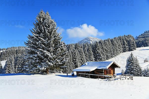 Wonderful winter landscape with blue sky and sunshine. Sonthofen, Oberallgaeu