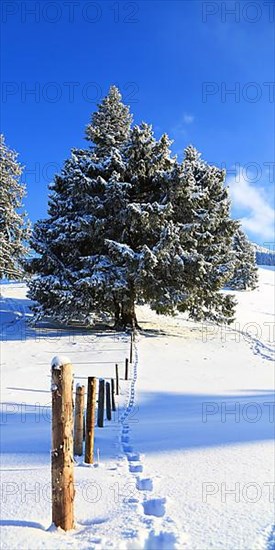 Wonderful winter landscape with blue sky and sunshine. Sonthofen, Oberallgaeu