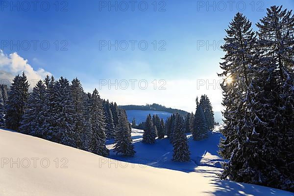 Wonderful winter landscape in the backlight. Sonthofen, Oberallgaeu