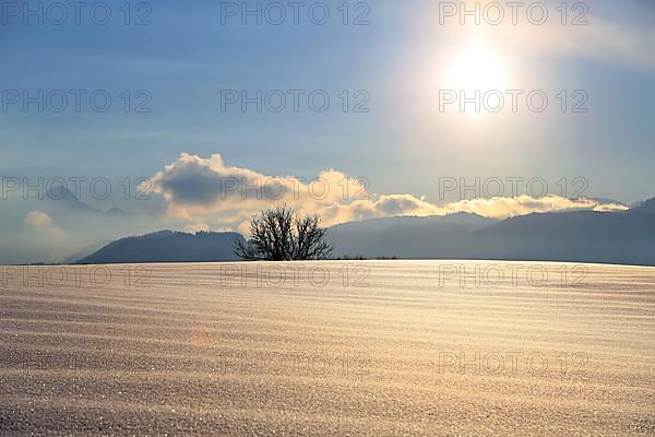 Wonderful winter landscape in the backlight. Sonthofen, Oberallgaeu