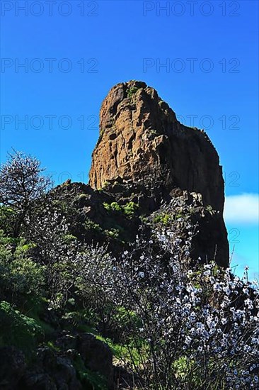 Roque Bentayga is a striking rock formation on the island of Gran Canaria. Tejeda, Las Palmas