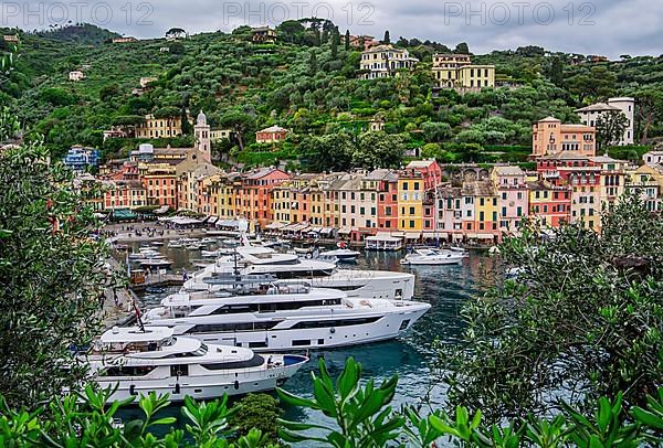 Yachts in the harbour bay, Portofino