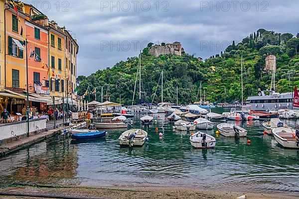 Boat and marina with Castello Brown, Portofino