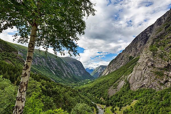 View from above of the forested valley Eikesdalen, high mountains and the river Aura