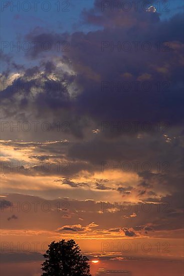 Evening clouds with setting sun, below an alder