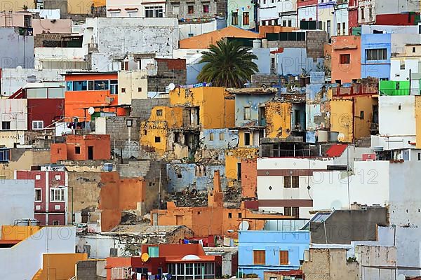 Mirador Casas de colores in Las Palmas de Gran Canaria. Las Palmas, Gran Canaria