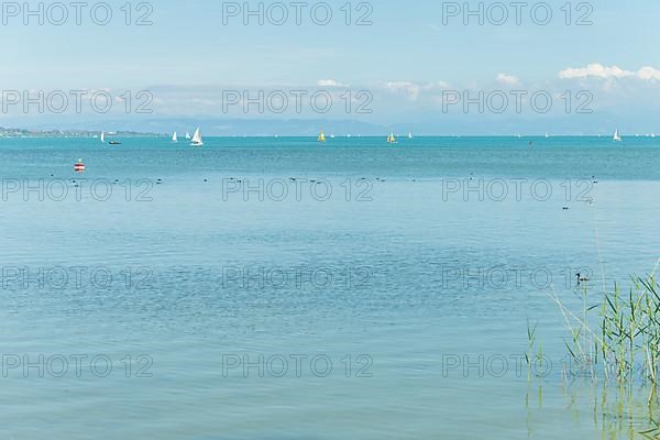 Sailing boats on Lake Constance in Germany in spring. Mainau island, Germany