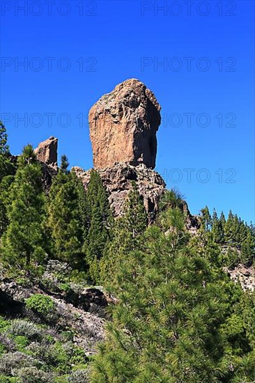 Roque Nublo is a striking basalt rock, and also the highest mountain in Gran Canaria. Las Palmas