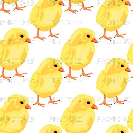 Baby chicken seamless pattern on white, vector background