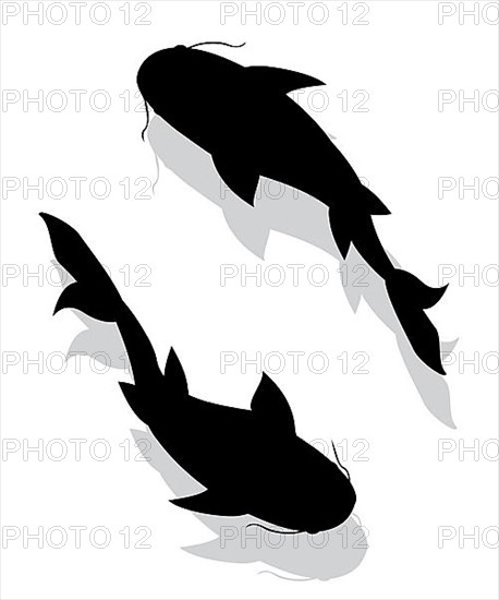 Two fishes silhouettes vectors over white background,
