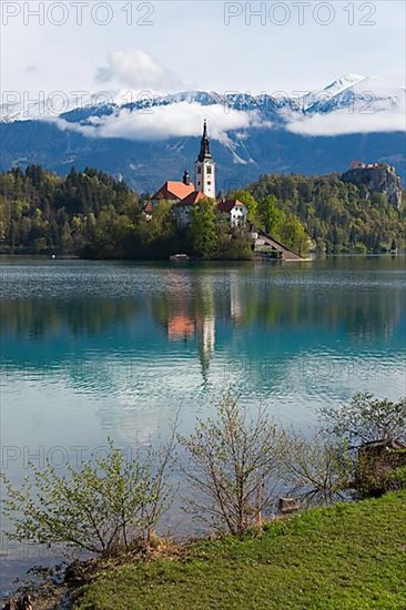 Bled Island with St. Mary's Church, Lake Bled