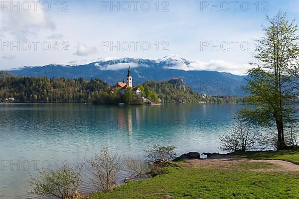 Bled Island with St. Mary's Church, Lake Bled