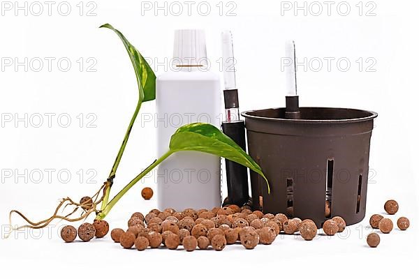 Tools for keeping houseplants in passive hydroponics system without soil with water level indicators, expanded clay pellets