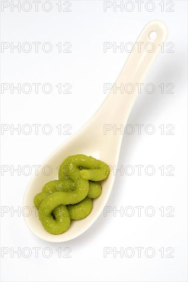 Wasabi, green wasabi paste