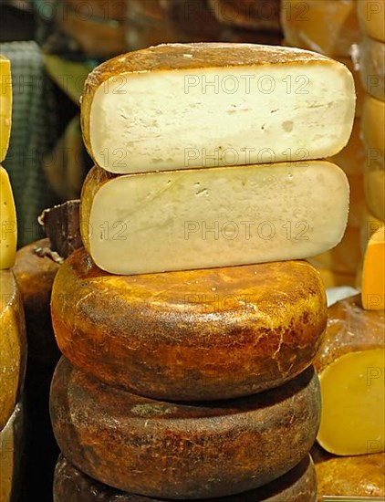 Cheese loaves, cheese in one piece at a market stall in Holland