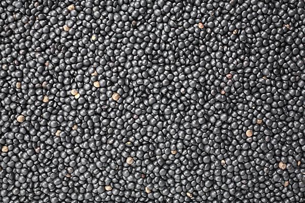 Black beluga lentils,