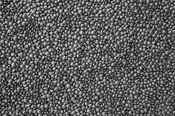 Black beluga lentils,