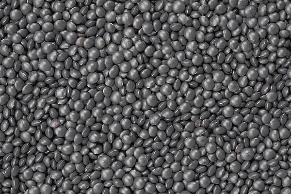 Black beluga lentils,