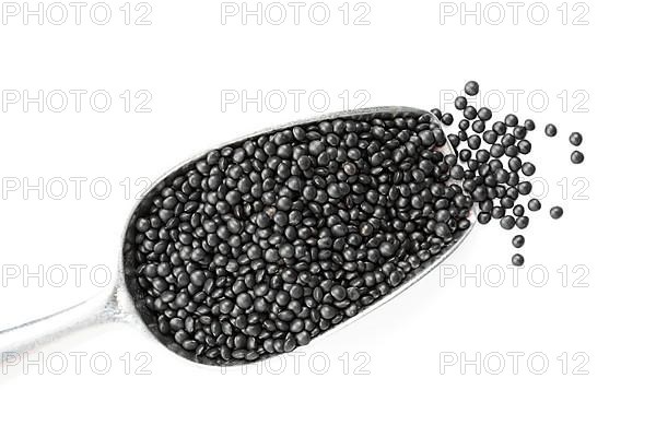 Black beluga lentils,