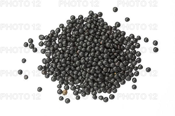 Black beluga lentils,