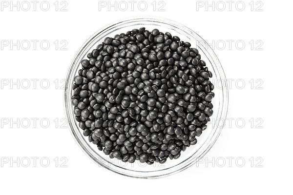 Black beluga lentils,