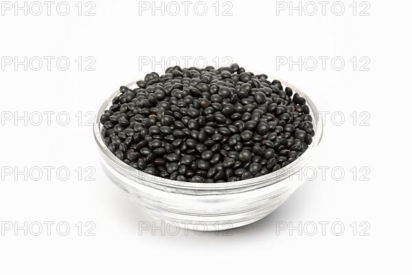 Black beluga lentils,