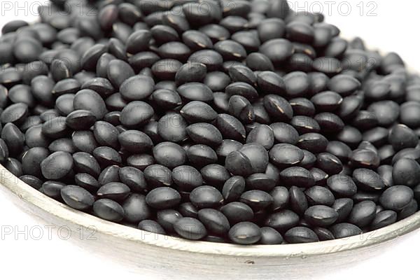 Black beluga lentils,