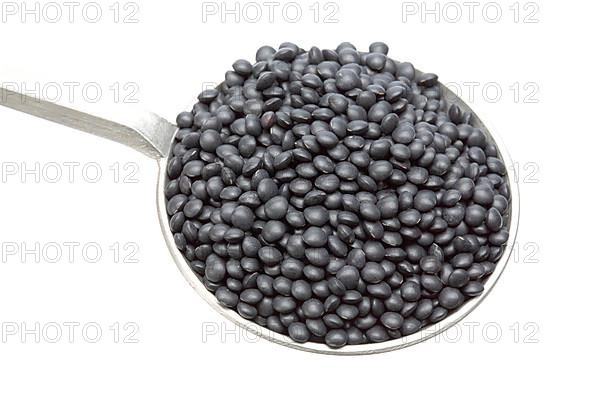 Black beluga lentils,