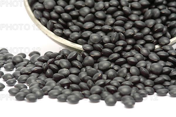 Black beluga lentils,