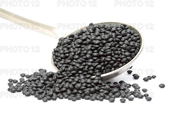 Black beluga lentils,