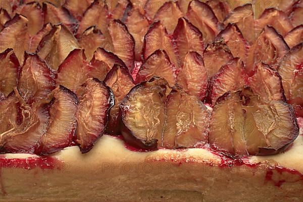 Plums on a plum cake,