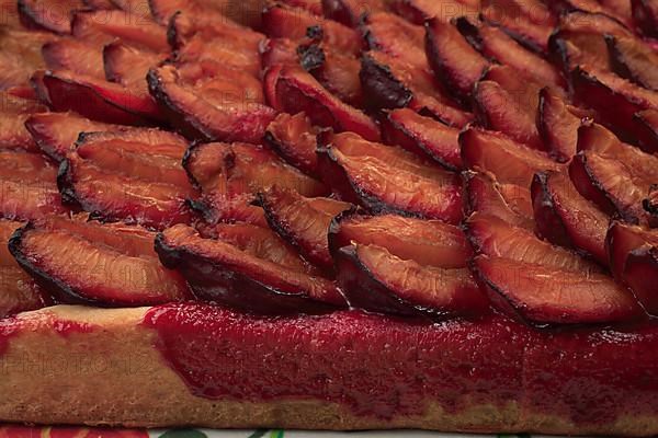 Plums on a plum cake,