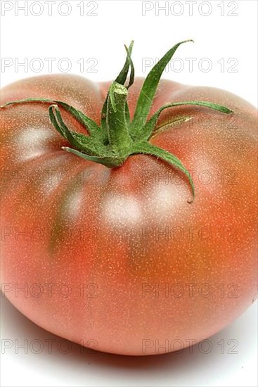 Ripe tomatoes of the Cherokee Tiger variety, red with green stripes