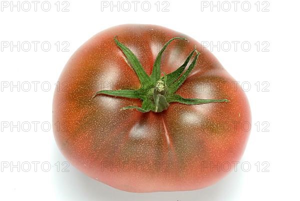 Ripe tomatoes of the Cherokee Tiger variety, red with green stripes