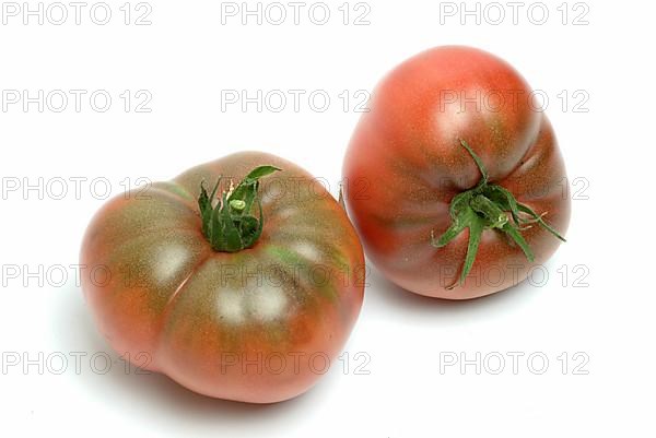 Ripe tomatoes of the Cherokee Tiger variety, red with green stripes