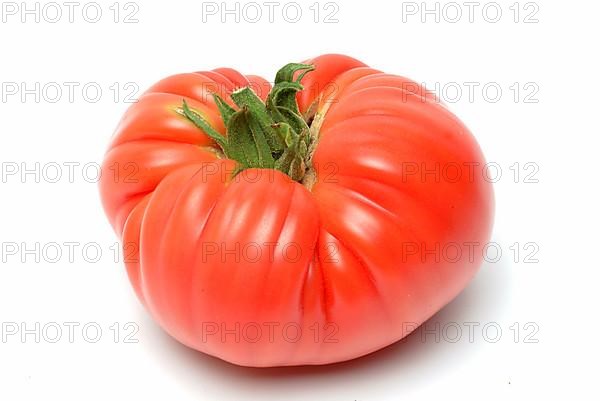 Ripe tomato of the Cuore di bue variety, oxheart tomato
