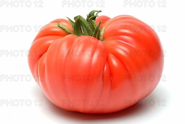 Ripe tomato of the Cuore di bue variety, oxheart tomato