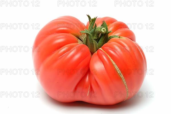 Ripe tomato of the Cuore di bue variety, oxheart tomato