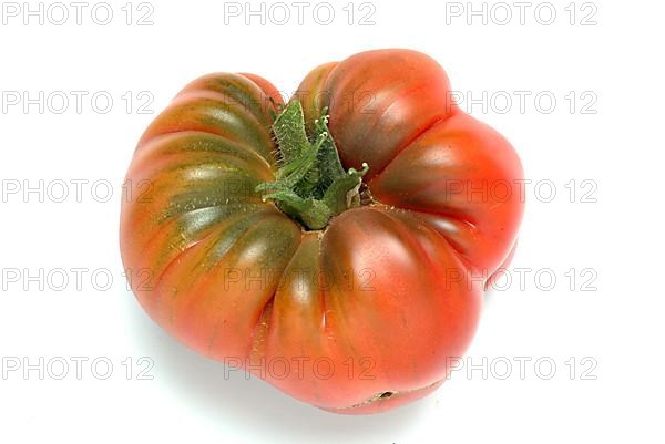 Ripe tomato of the Cuore di bue variety, oxheart tomato
