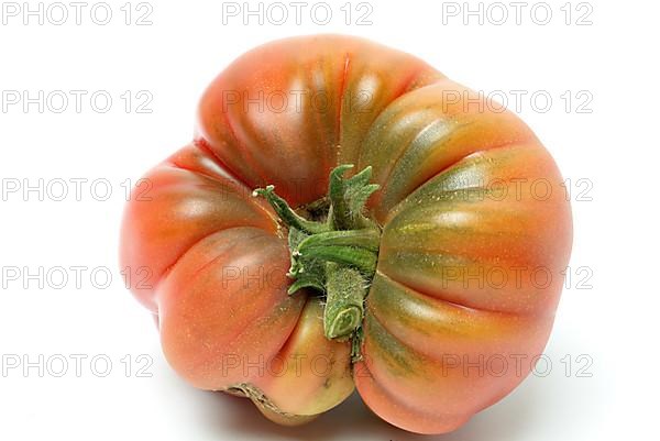 Ripe tomato of the Cuore di bue variety, oxheart tomato