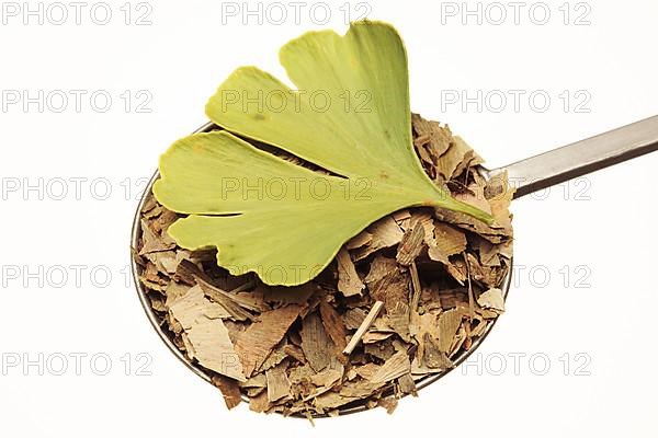 Dried ginkgo,