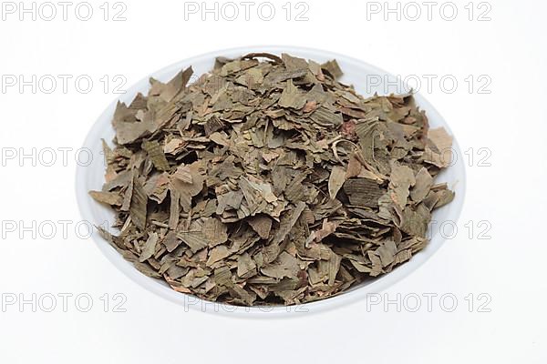 Dried ginkgo,