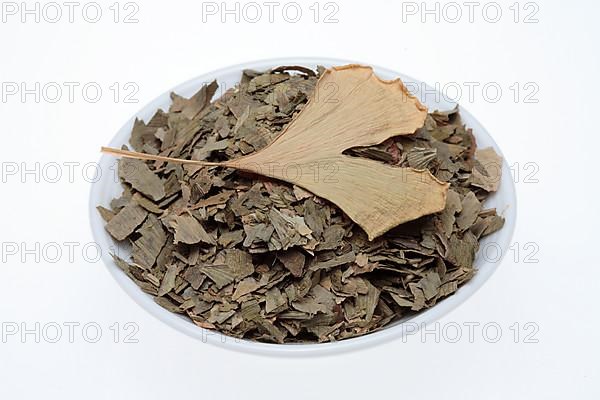 Dried ginkgo,